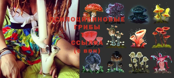 кокаин Богородицк