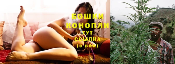 хмурый Богородск