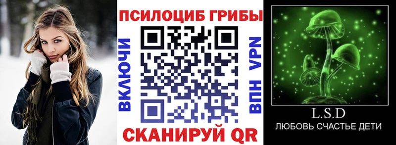 Купить закладки  Лосино-Петровский  Псилоцибиновые грибы MAGIC MUSHROOMS 